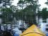19HendersonSwamp4.jpg